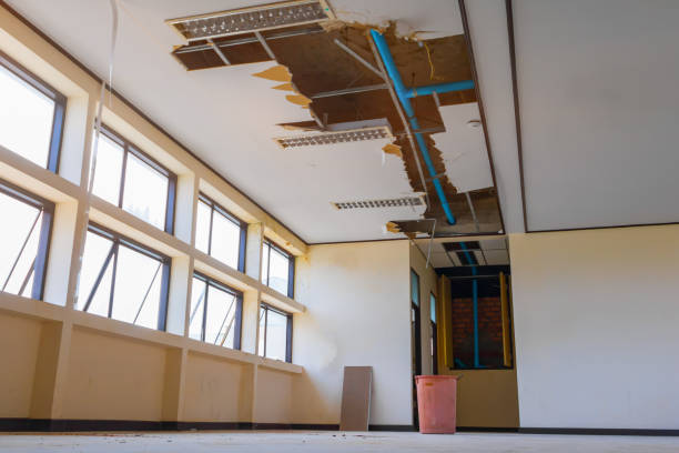 Best Carpet water damage restoration  in Pine City, MN