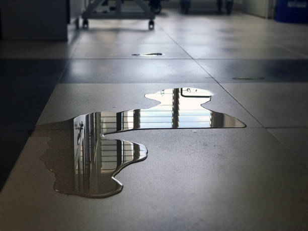 Best Water damage cleanup near me  in Pine City, MN