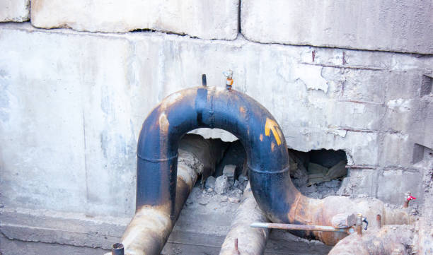 Best Water damage restoration near me  in Pine City, MN