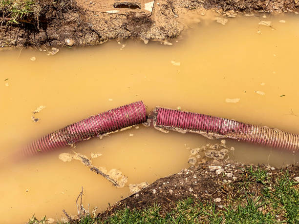 Best 24-hour water damage restoration  in Pine City, MN